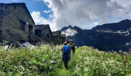 Gruppo guidato di escursionisti all'Alpe Pianmisura nella Valle d'Otro