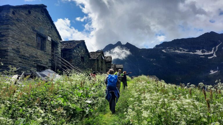 Gruppo guidato di escursionisti all'Alpe Pianmisura nella Valle d'Otro