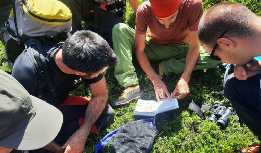 Ricerca di informazioni durante attività di Team Building in Val Zebrù