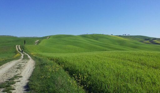 Le colline della Val d'Orcia sul tratto toscano della Via Francigena